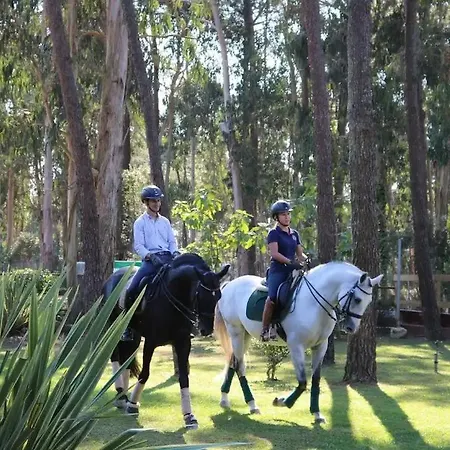 Apartamento Varandas Do Pinhal Fão