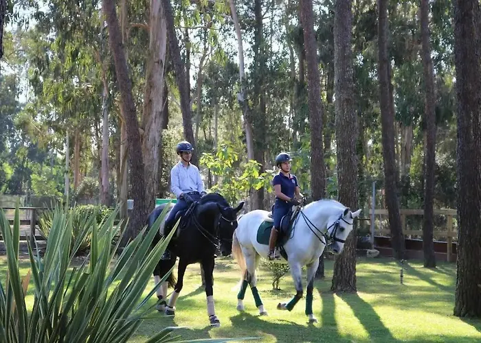 Апартаменты Varandas Do Pinhal Фан